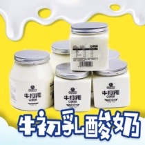  Xinjiang Cow Early Lactic Acid Milk 560g*4