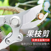  Branch scissors Garden gardening tools Multi-function household thick branch branch scissors labor-saving plant repair floral branch scissors