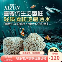 Joyzun Bacilli Column Filter Material Fish Tank Filter Material Light Sea Water Cylinder Bacteria Bacteria House Germicidal Water Purifying Filter Ball