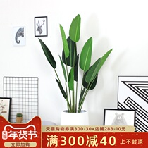 Nordic creative white cement flowerpots rectangular large size modern minimalist living-room floor with green planting cement basin