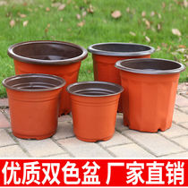 Bicolor basin Wholesale seedling basin seedling bowl Nutrient Bowl Nourishment Cup Nursery cup Cottage Basin for Seedling Growing Nursery