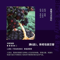 DIY scented candle essential oil Zuma Dragon blue wind chimes Sage British pear diffuser stone material flavor sleep aid