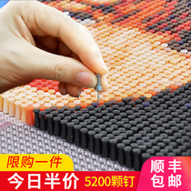  Pushpin painting nail painting diy custom photo puzzle portrait gift handmade live photo nail art painting