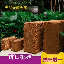 Direct sales imported large-scale flower fertilizer nutrition coconut Earth coconut Bran meat soil plant general nutrient soil