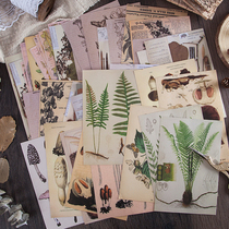 Retro botanical map Prehistory books Sulphuric Acid Paper Hand Ledger Large Stickers Mushroom Leaves Flowers Diy Hand Ledger Decoration Appliquis