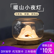 Creative warm mountain light charging night light bedroom bedside atmosphere sleep light fish tank Net red lamp romantic gift light