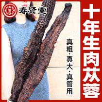 (Ten years Cistanche)Inner Mongolia Alashan oil cistanche 800g whole root wine material non-lock Yang traditional Chinese medicine