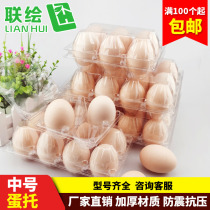 Earth Egg Packaging Box Egg Toplastic Transparent Disposable Duck Egg Trays Delight Egg Box Salty Egg Box 10