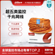 Dahua Super five indoor monitoring computer broadband network home high speed network cable DH-PFM920I