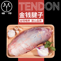 Money Shuttlecock Beef Tendon Beef Fresh Frozen Fresh Domestic Charolais Beef Tendon 1kg