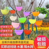 Thickened orchid flower pot resin plastic orchid pot hanging basin hanging basket Pot Pot Pot Green Rose special large meat