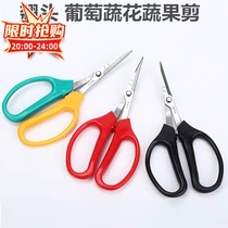 Li Jiajiangs new head-turning multi-function shears with scale inverted edge design does not hurt the vineyard art vegetable flower and fruit scissors