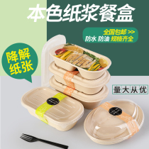 Paper Butler Salad Pulp Dining Box Disposable Degradable Fast Food Box Pulp Bowl Takeaway Lunch Box