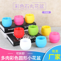 Manufacturer multi-meat plant small flower pot plastic multicolor free matching stone pellet flower pots for a starting batch