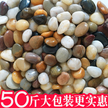 50 Jin cobblestone paving paving courtyard garden landscape natural size stone rain flower stone raw stone goose soft warm stone