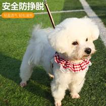 Dog traction rope dog rope small dog breast belt bome teddy traction rope than bear traction rope dog chain