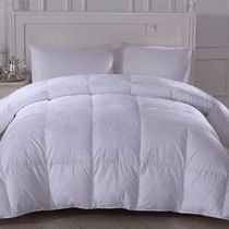 Mercury home textile luxury type goose down quilt quilt quilt quilt core 112289 counter the same model