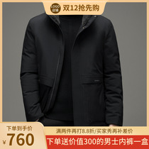 Middle-aged and elderly cotton-padded male fathers collar thick medium-length business leisure warm hair collar cold-proof pure color cotton-padded clothes