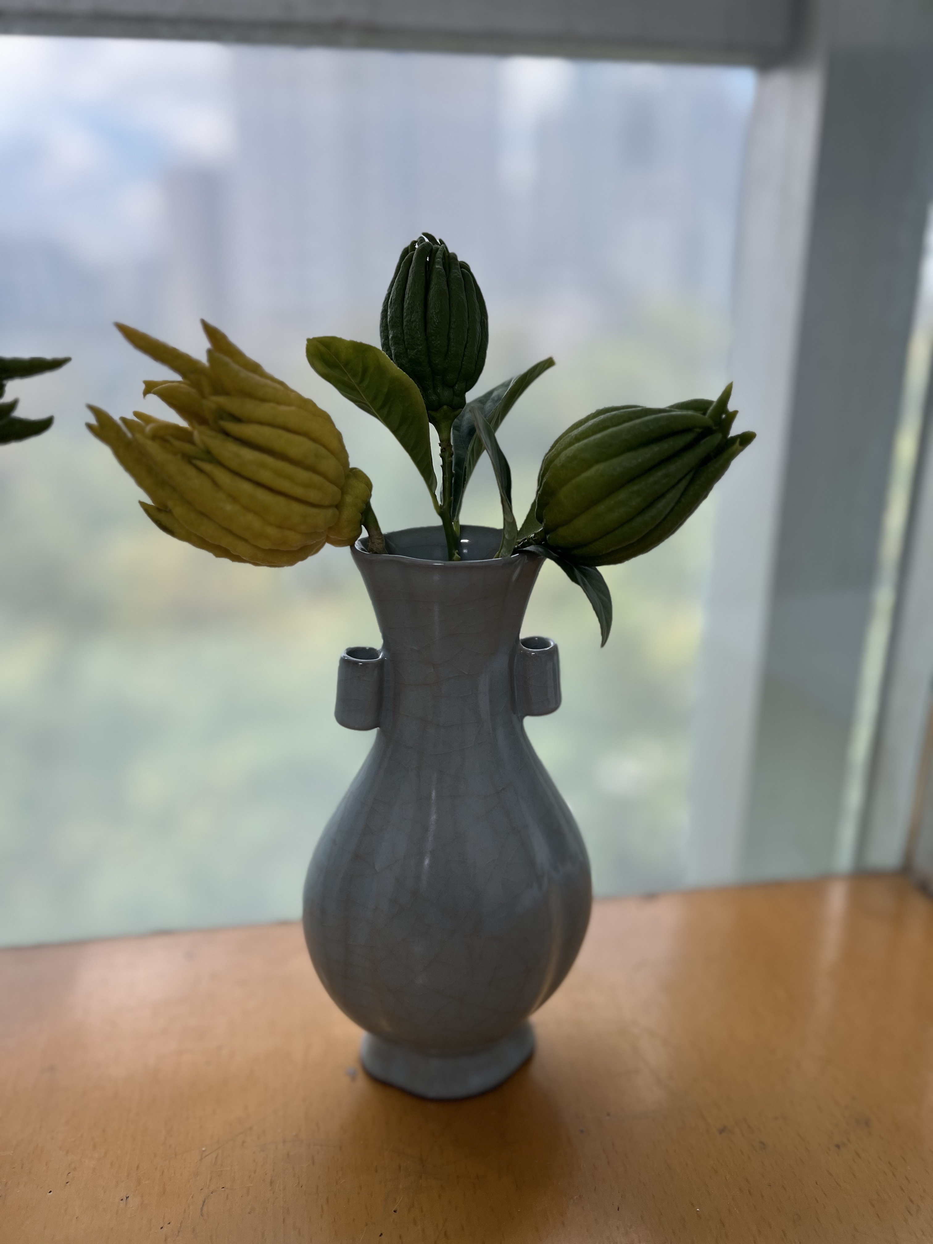 花瓶　官窯　青釉　花入　宋代　中国美術　古美術　中国古玩　骨董 宋官窑青釉花觚瓶古董老货古玩旧货仿古做旧瓷器摆件民间收藏