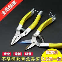 Stainless steel fruit picking scissors citrus scissors round head scissors fruit scissors citrus scissors flat head straight head fruit picking scissors fruit scissors