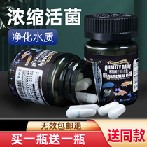 Nitrifying bacteria in fish tanks with digestive bacteria nitrifying bacteria aquarium aquarium nitrifying viable bacteria em capsules dry powder