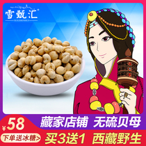 Buy 3 get 1 Tibetan Fritillaria wild Fritillaria powder without sulfur-free Chinese herbal medicine Special Grade small green shell Feisui 20g