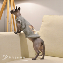 GINGERAIN hairless cat clothes Sphinx Devon COTTON non-inverted velvet elastic sweater