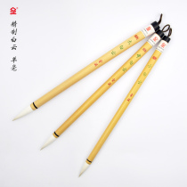 (Golden mud refined White Cloud) Yangao high-quality Mao Chinese painting and painting landscape flowers and birds Classic