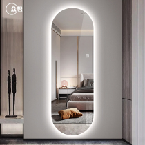 Crowdsourced unframed full-body mirror wall-mounted wear mirror LED with lamp home smart fitting mirror elliptical lamp mirror decoration mirror