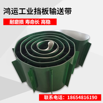PVC conveyor belt processing custom industrial assembly line plus guide strip conveyor belt thickened white food pattern green