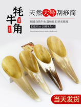 Y natural horn tube King-size horn plate Massage scraping tube Beauty salon Full body universal back and neck dial warp