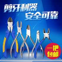 Veterinary cutting pliers for piglets cutting teeth for piglets Rabbit sheep stainless steel broken teeth pliers for pig raising veterinary equipment