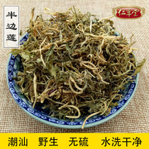 Chaoshan new wild washed Lobelia fine rice grass Urgent solution Half flower snake Lei grass 500g
