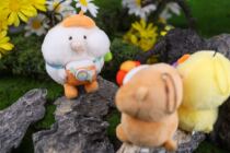 llj clip machine accounted for photographer toby pendant bald East rise toby pendant plush toy doll chipmunk toby