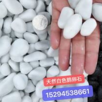Baolith big pebbles fleshy paving white stone white pebbles Nanjing Yuhua stone white stone rice direct sales
