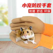 Bite-resistant gloves hamster supplies hamster bite-resistant gloves Golden Bear small pet supplies protective gloves rabbit