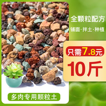 Fleshy whole grain soil Iridescent stone Plant paving stone Planting iridescent stone Orchid nutrient soil Volcanic rock Maifan stone