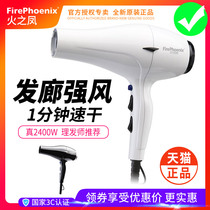 Fire Phoenix Electric Hair Dryer Hair Salon Special Power Hairdrester hot and cold wind cylinder Professional 8 Home 3100H