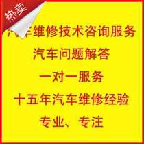 Car maintenance technical consulting service one-on-one