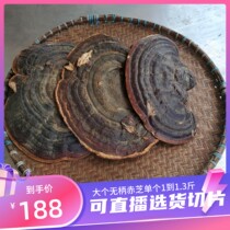 Guangxi Lingzhi Wild Lingzhi Lucid Lucid Lucid-Sesame Cheese pure natural special grade tree tongue lingzhi sheet 500