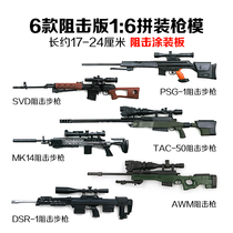 4D gun Model 6 1:6 coated plate SVD assembled gun model MK14 nostalgic soldier weapon AWM blocking gun model