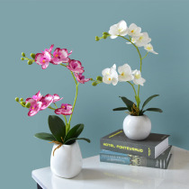 Simulation flower pendulum piece simulation butterfly Lan small potted plant fake flower living room desktop Xuanguan flower green planting decoration decoration