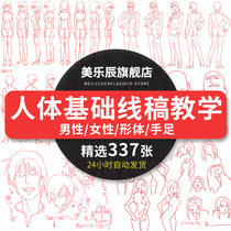pixiv Human Body Structure Dynamic Animation Line Draft Material HD Basic Teaching Body Attitude Painting Picture 203