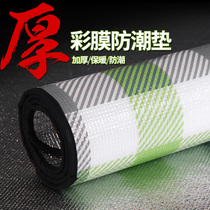 Color film moisture proof mat thickened outdoor floor Tent camping aluminum film sleeping mat Picnic mat Household floor mat Mattress