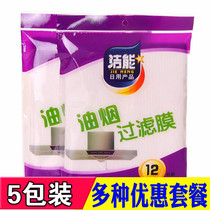 Range Hood anti-grease sticker filter paper kitchen hood patch oil suction paper oil-proof patch filter screen 12 pieces