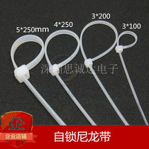 Nylon cable tie Wire cable tie Cable tie Self-locking cable tie 3*100 3*200 4*250 5*250MM