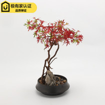 New Chinese Creativity Emulation Red Maple Tree Bonsai Potted Potted Potted Potted Room room Living room Book Room Tea Room Soft decorations