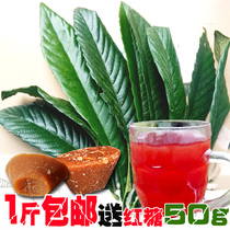 Fresh loquat leaves Guizhou farmers are now picking old trees pipa leaves children and pregnant women boiling water 500g free brown sugar