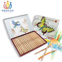 Waldorf Life Museum Stuyman Stockmar student painting color hexagonal pencil 18 1 color iron box