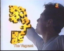 Support DVD Leopard Bile Li Nanxing Huang Biren Lin Xiangping 20 episodes 3 discs